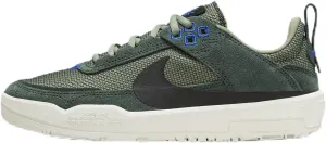 Nike SB Day One Big Kids' Skate Shoes (FN4210-300, Vintage Green/Oil Green/Sail/Black) Size 3.5